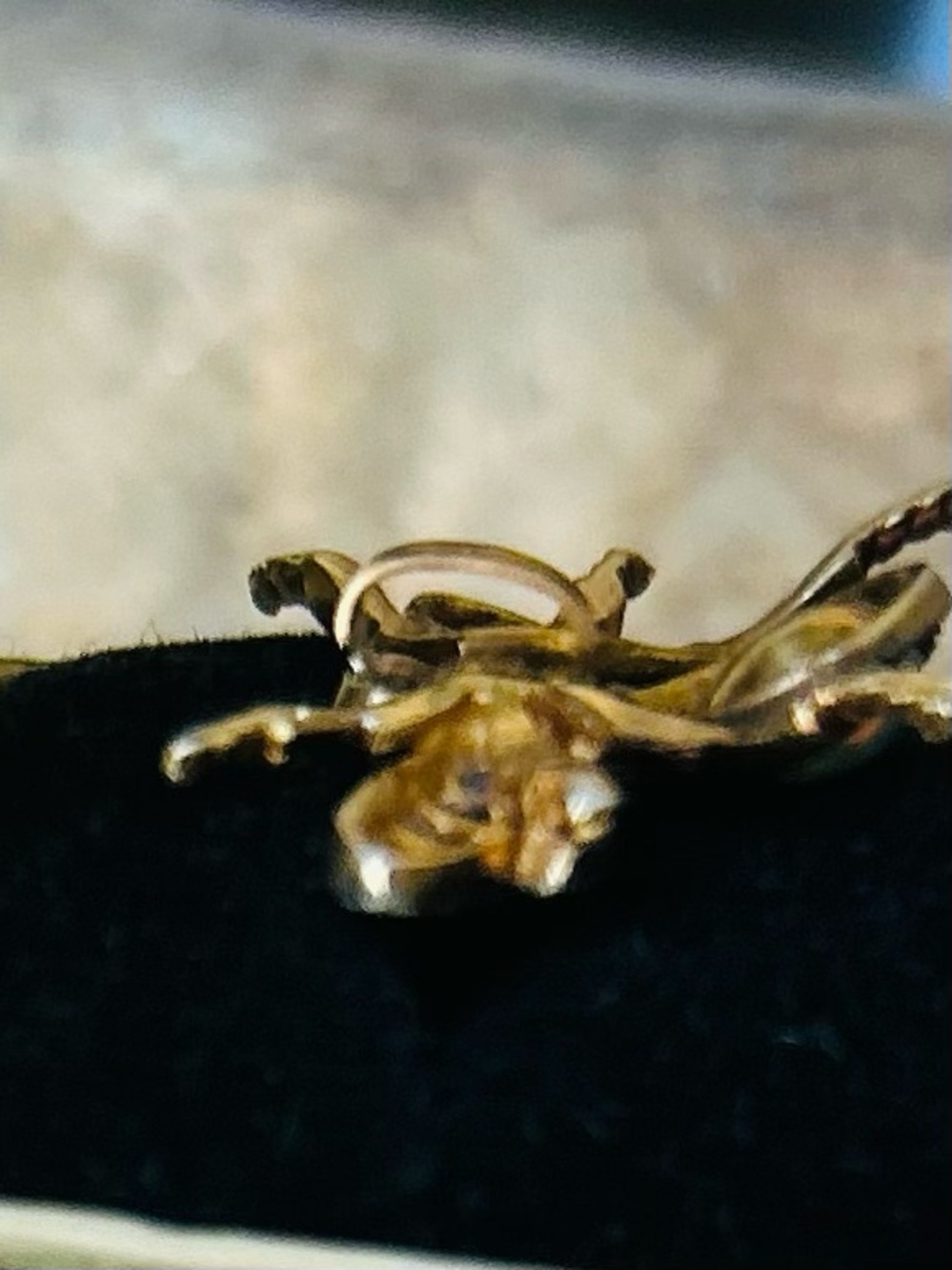 Antique Insect Natural Gems Victorian Pendant - Picture 9 of 14